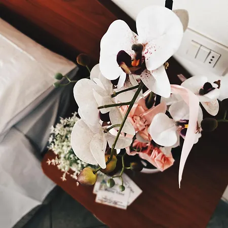 Apartahotel Buena Vista