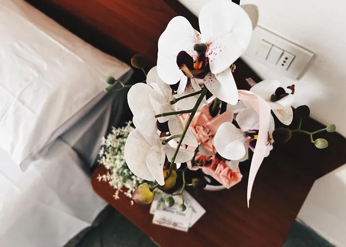 Aparthotel Buena Vista